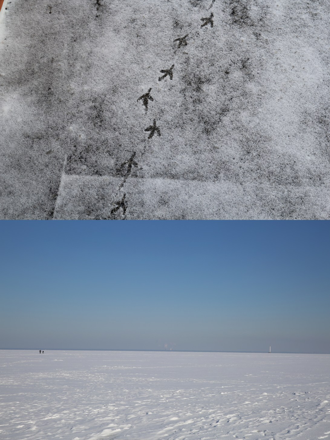 This-is-the-sign-GCampbell-3-web