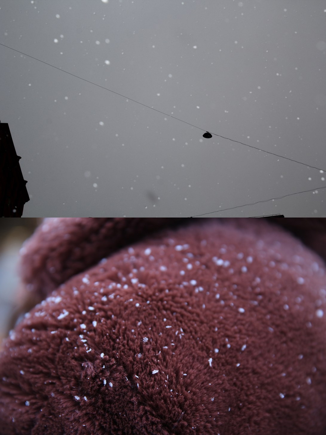 This-is-the-sign-GCampbell-5-web